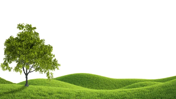 Green field. 3D rendering — Stock Photo, Image