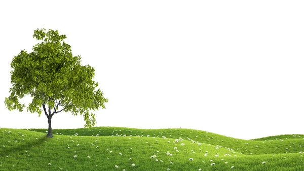 Yeşil alan. 3D render