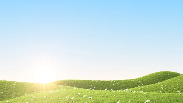 Green field. 3D rendering — Stock Photo, Image