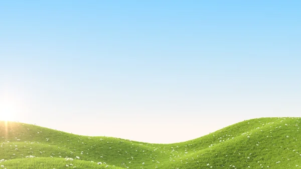 Campo verde. Renderizado 3D — Foto de Stock
