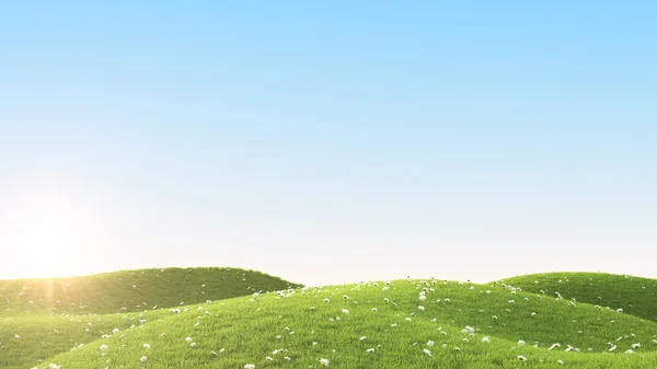 Green field. 3D rendering — Stock Photo, Image