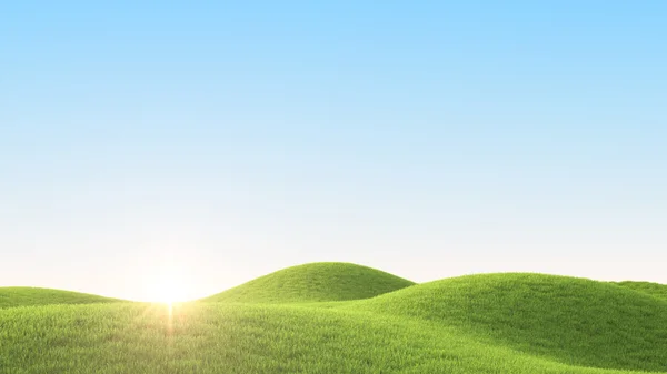 Green field. 3D rendering — Stock Photo, Image