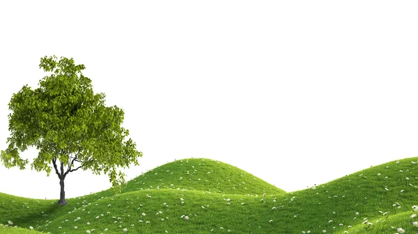 Green field. 3D rendering — Stock Photo, Image