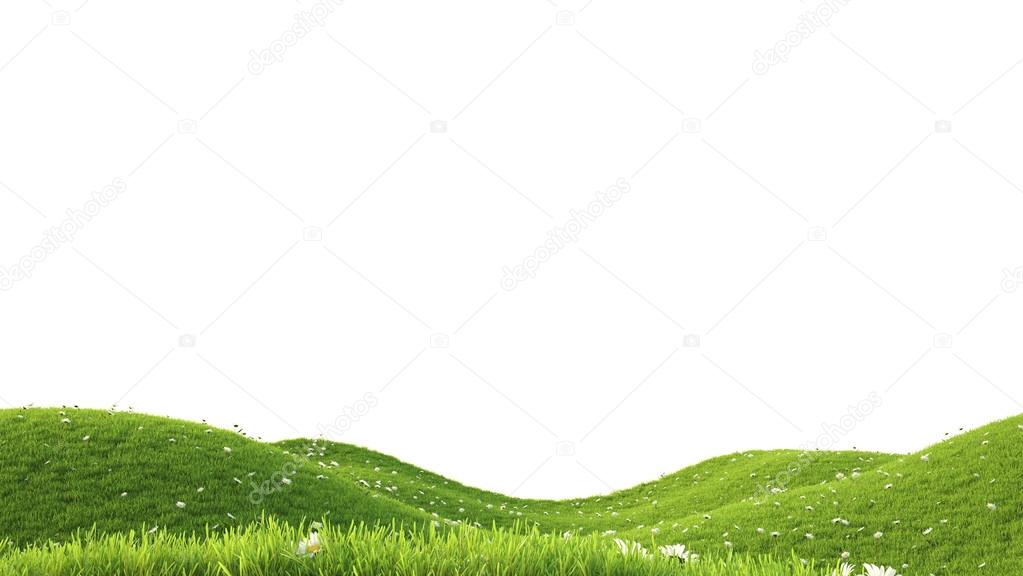 Green field. 3D rendering