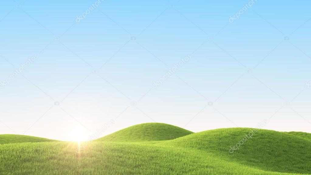 Green field. 3D rendering