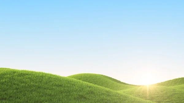 Green field. 3D rendering — Stock Photo, Image