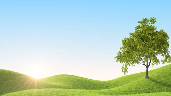Green field. 3D rendering Royalty Free Stock Photos