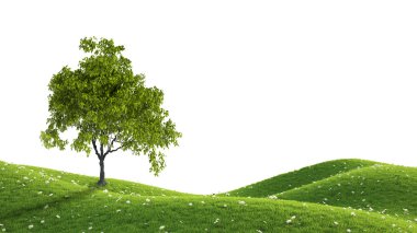 Yeşil alan. 3D render