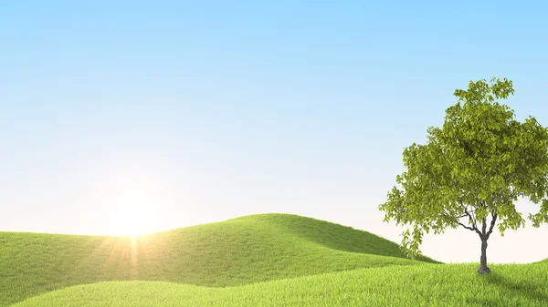 Green field. 3D rendering — Stock Photo, Image