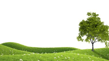 Yeşil alan. 3D render