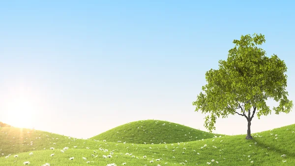 Green field. 3D rendering — Stock Photo, Image