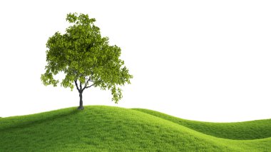 Yeşil alan. 3D render