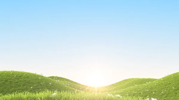 Green field. 3D rendering — Stock Photo, Image