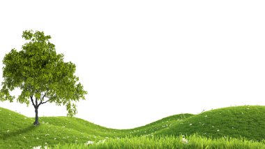 Yeşil alan. 3D render