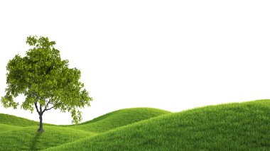 Yeşil alan. 3D render