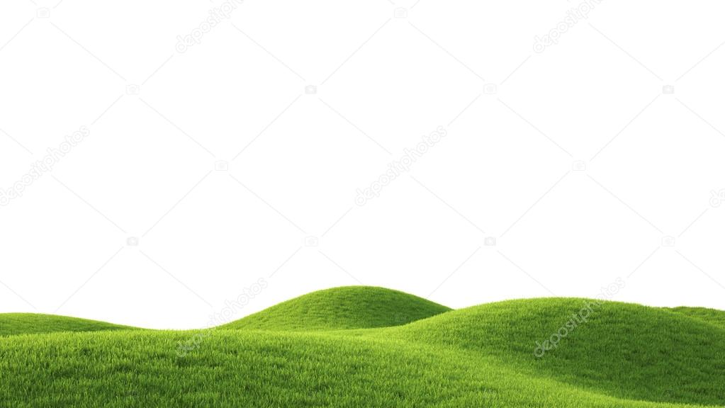 Green field. 3D rendering