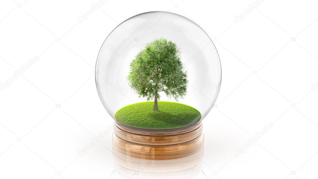 Transparent sphere ball with tree on grass inside. 3D rendering.