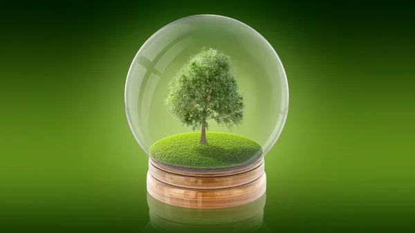 Bola de esfera transparente com árvore na grama dentro. Renderização 3D . — Fotografia de Stock