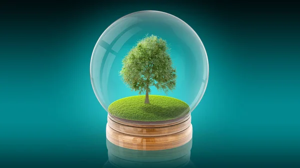 Bola de esfera transparente com árvore na grama dentro. Renderização 3D . — Fotografia de Stock