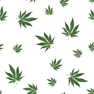 Esrar, esrar simgeler. Tıbbi esrar simgeler kümesi. Marihuana yaprağı. Uyuşturucu tüketimini. Marihuana yasallaştırma. İzole vektör çizim