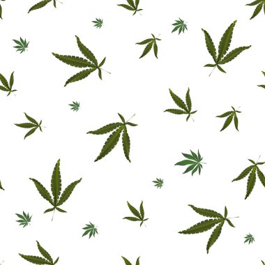 Esrar, esrar simgeler. Tıbbi esrar simgeler kümesi. Marihuana yaprağı. Uyuşturucu tüketimini. Marihuana yasallaştırma. İzole vektör çizim