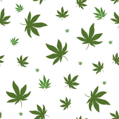 Esrar, esrar simgeler. Tıbbi esrar simgeler kümesi. Marihuana yaprağı. Uyuşturucu tüketimini. Marihuana yasallaştırma. İzole vektör çizim