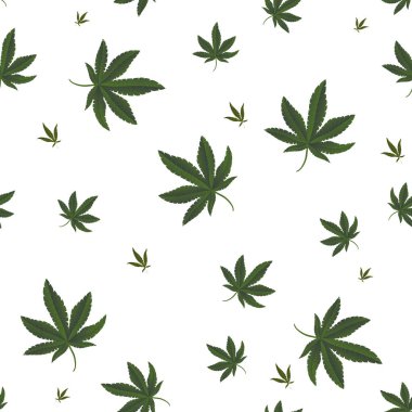 Esrar, esrar simgeler. Tıbbi esrar simgeler kümesi. Marihuana yaprağı. Uyuşturucu tüketimini. Marihuana yasallaştırma. İzole vektör çizim