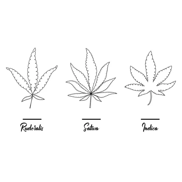Marihuana Cannabis Pictogrammen Set Van Medische Marihuana Iconen Marihuanablad Drugsgebruik — Stockvector