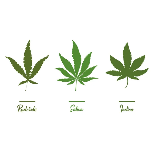 Marijuana Cannabis Icons Set Medical Marijuana Icons Marijuana Leaf Drug — Stock Vector