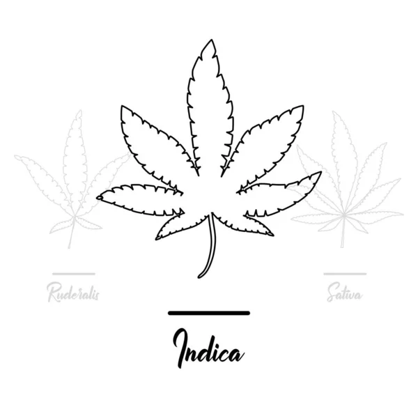 Marihuana Cannabis Ikonen Reihe Medizinischer Marihuana Symbole Marihuana Blatt Drogenkonsum — Stockvektor