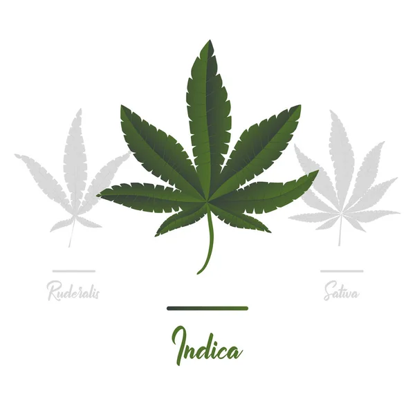 Marihuana Cannabis Ikonen Reihe Medizinischer Marihuana Symbole Marihuana Blatt Drogenkonsum — Stockvektor