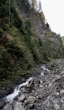 Dağlardaki vahşi nehir. Ukraynalı Karpatlar. Ukrayna filmi