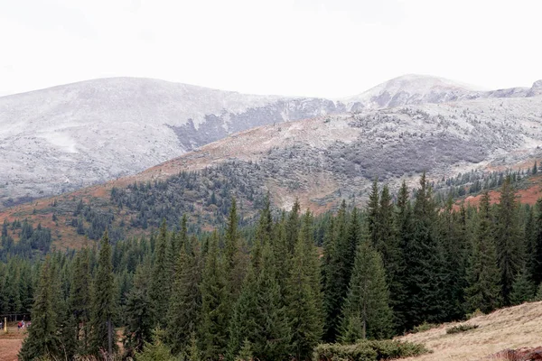 The first snow in the Ukrainian mountains, clouds low mountains — Stock Photo, Image