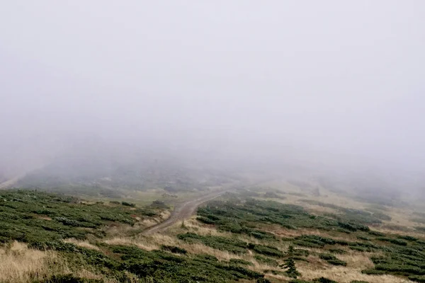 Туман в горах Украины — стоковое фото