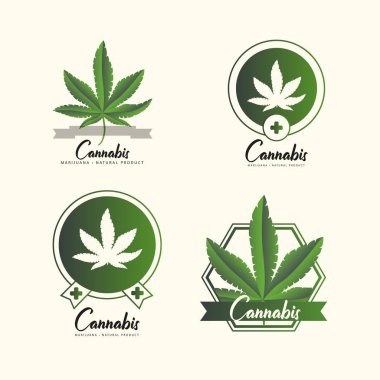 Marihuana, kenevir ikonları. Tıbbi marihuana ikonu seti. Uyuşturucu. 