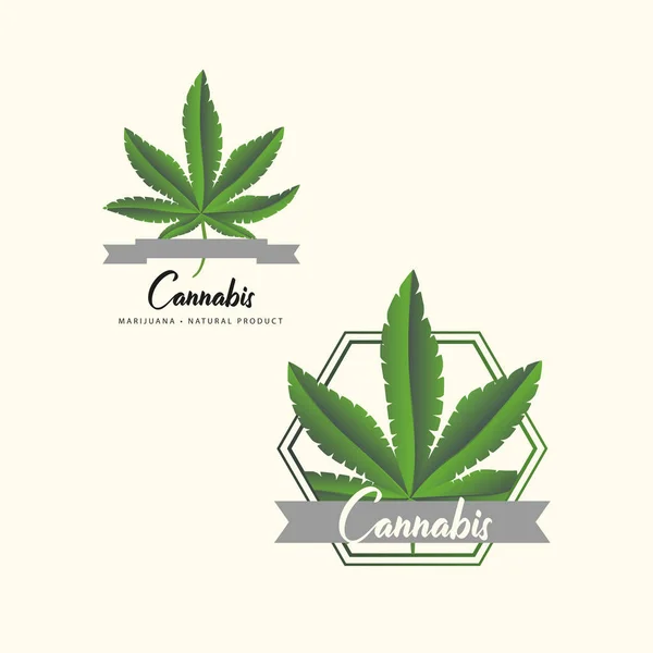 Marihuana, iconos del cannabis. Conjunto de iconos de la marihuana medicinal. Droga — Archivo Imágenes Vectoriales