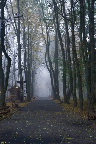 Ομίχλη στο πάρκο, χαλάρωση — Φωτογραφία Αρχείου