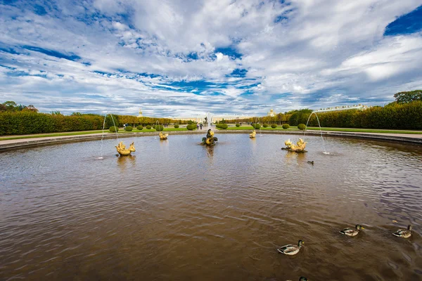 Reserva del Museo Peterhof — Foto de Stock