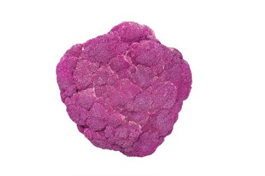 izole mor karnabahar