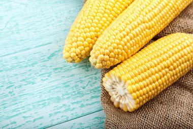 Mavi arkaplanda mısır