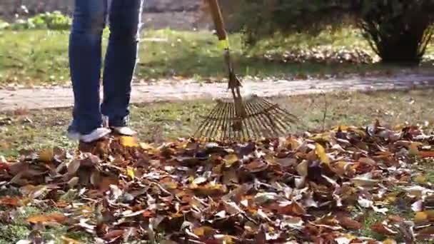 Schoonmaken van de herfst bladeren — Stockvideo