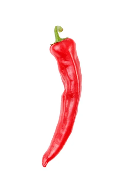 Peperoncino rosso, isolato — Foto Stock