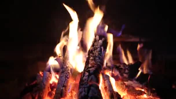 Feuer brennt im Kamin — Stockvideo