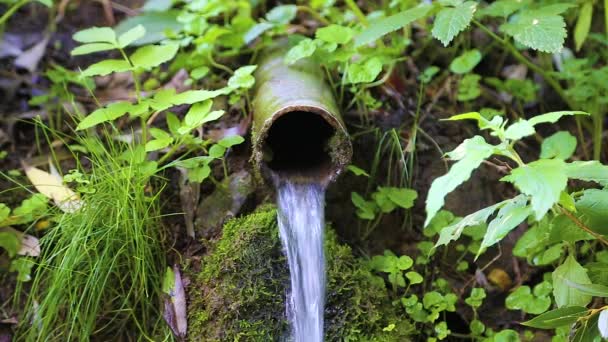 Tiszta patak áramlik a wellspring a rock. — Stock videók