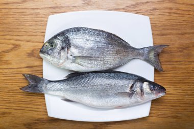 Balık deniz levreği ve dorado