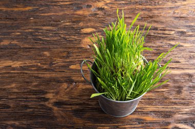 Ahşap arka plan üzerinde filizlenmiş buğday