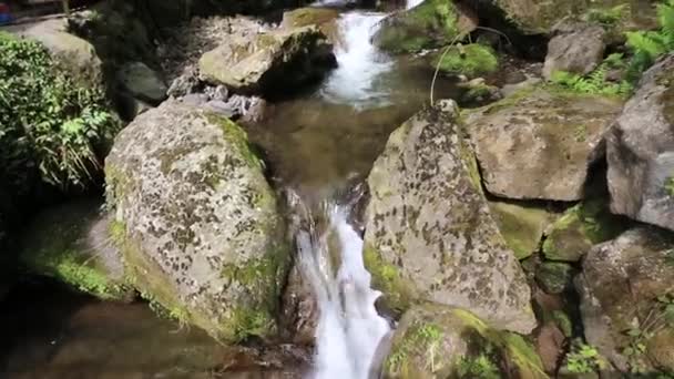 Hegyi folyó, a víz folyik át a sziklák, a gyönyörű természet — Stock videók