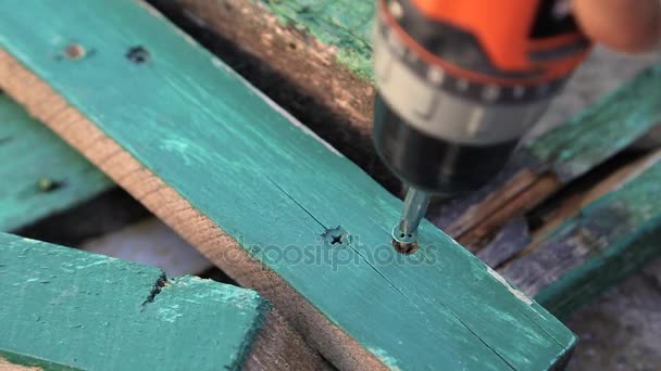 Atornillar un tornillo de madera con un destornillador — Vídeos de Stock
