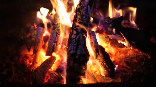 Quemaduras de fuego en la chimenea — Vídeo de stock