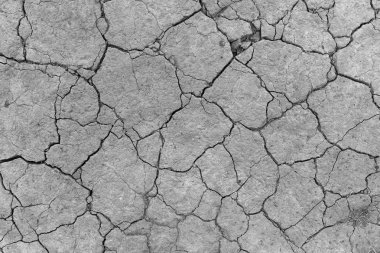 kuraklık kırık dünya